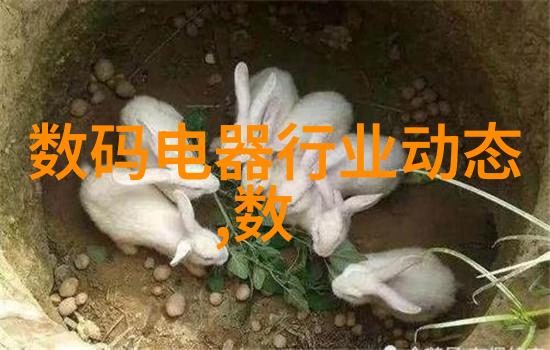 大型污水处理厂设备供应商专业提供高效环保处理解决方案