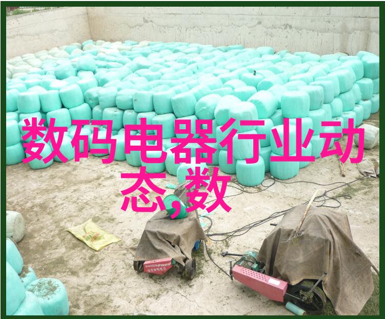 个性化设计latest house decoration effect picture show