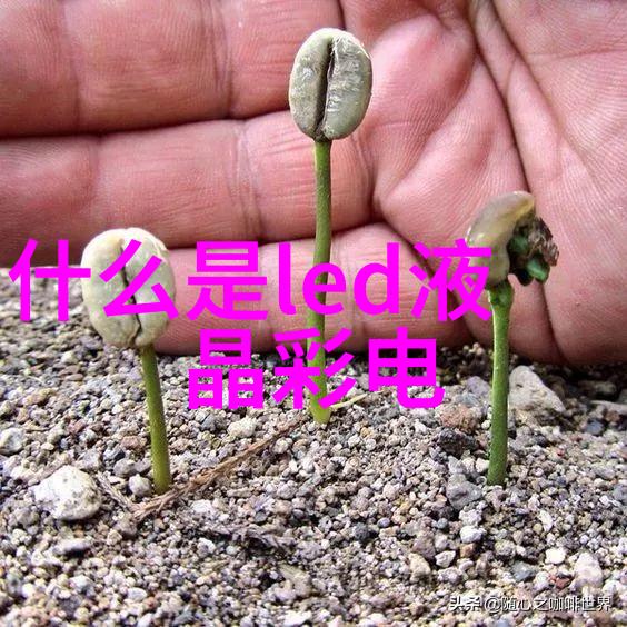 男生的坤巴扎进女生的坤巴里视频情侣间的浪漫互动