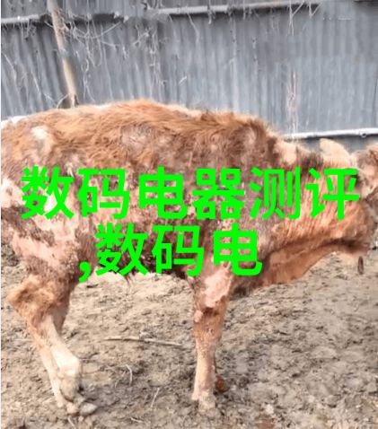 妮图网适马FP相机2.03版本升级固件在社会普及使用