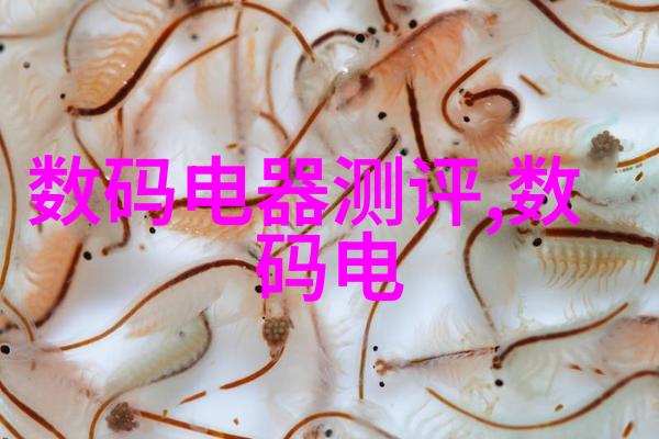 智慧投资未来股市的三花预言者
