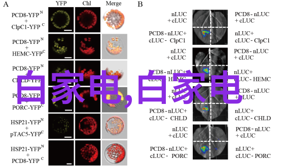 科学探究的枢纽实验室设备的奇迹与挑战