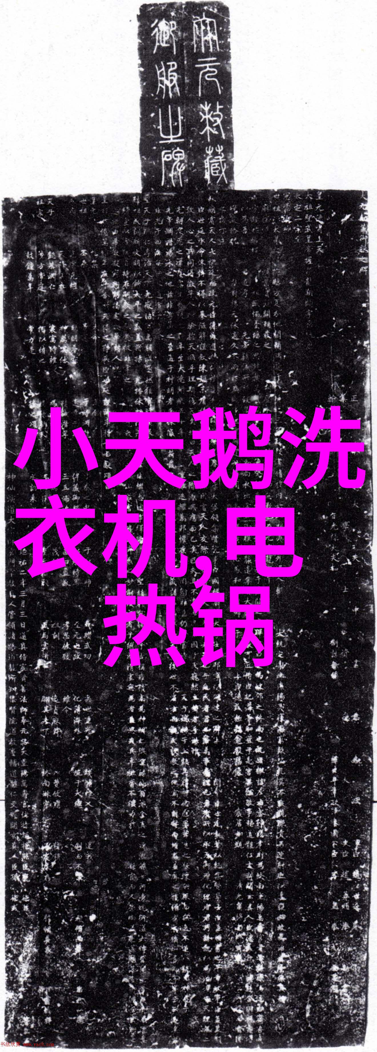 微波炉中的蚂蚁加热之谜与生死探究