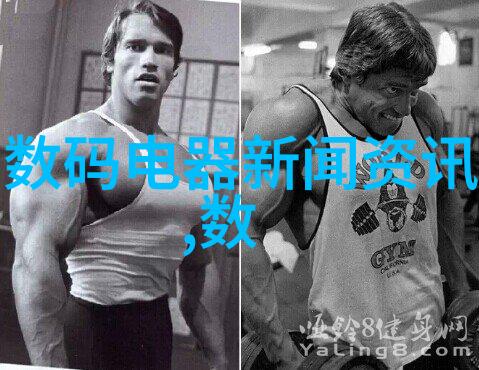 多孔砖的秘密空心结构与墙体性能的双重奏鸣
