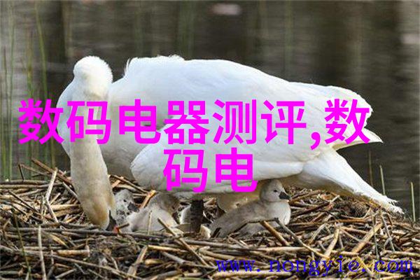 什么叫基本面我真的不太懂这玩意儿