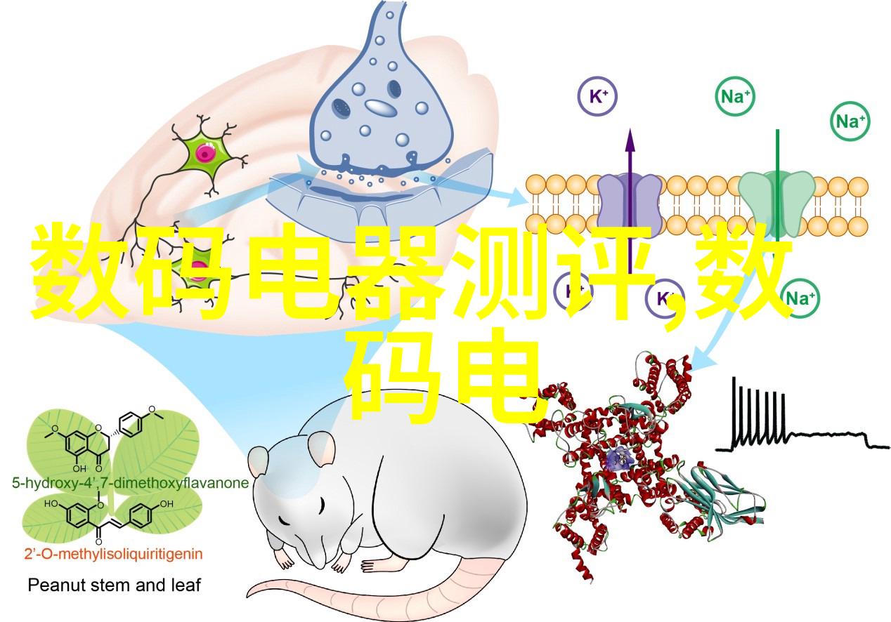 生产pe管材厂家-高质量PE管材的选择与应用