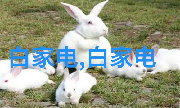 家门口清新源居民小区饮水机加盟新模式探索