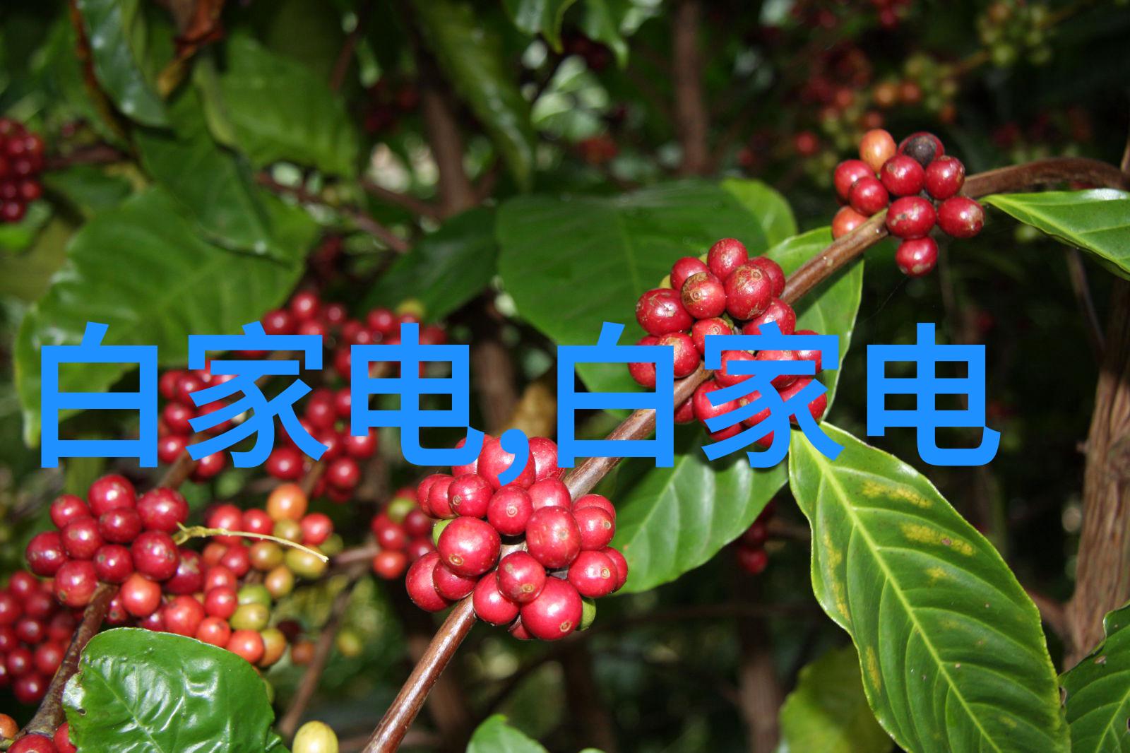 当你拔出来的那一刻 - 创新的启示与未来的展望