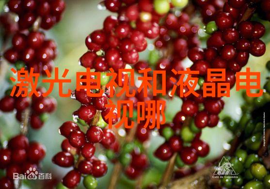夜里十大禁用APP软件葫芦娃IOS-探秘iOS平台的十大隐私侵犯应用警惕夜间潜伏的葫芦娃