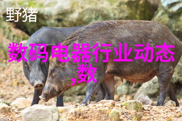 精细化工离心分离设备旋转魔力净化之道