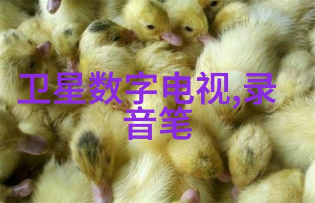 环境保护与一般有害化学品管理
