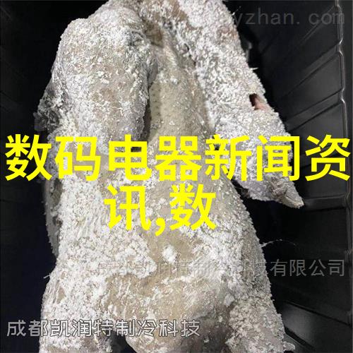 我来告诉你揭秘芯片世界一层层剖析