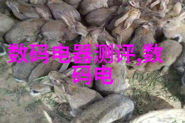 探索人格多样揭秘十六种独特的心智面貌