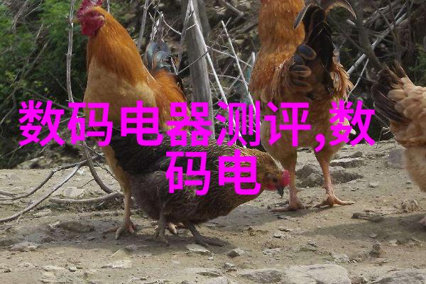 水利工程八大基本建设程序我的项目管理之路
