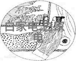 化工制冷设备在工业生产中的应用与发展