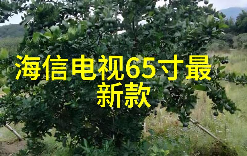 真空干燥设备技术高效真空干燥原理与应用