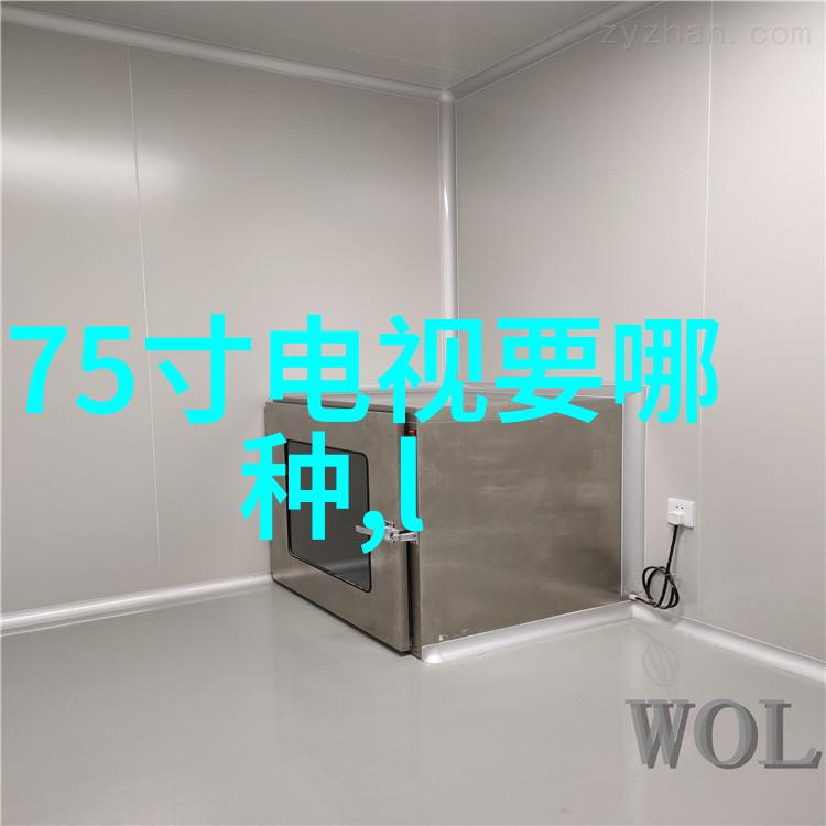 空气净化之道尘埃的沉默守护者