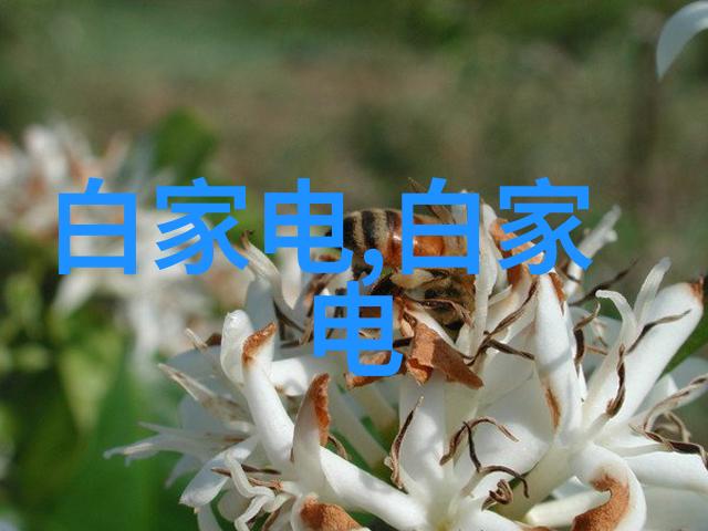 云娇雨怯青灯