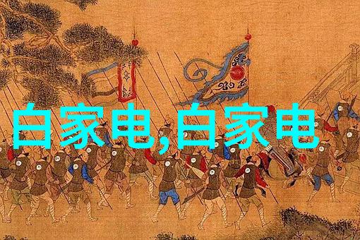 微观探究揭秘芯片内部结构与外观特征