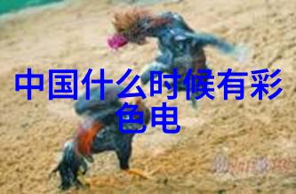 高效废气净化技术与环保工程实践创新的解决方案