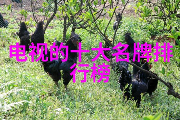 海尔传递健康拉动无霜冰箱热卖