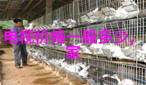 水质检测指南揭秘正常值背后的科学标准