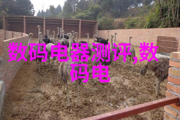 班长的泪水深夜的绝望与求救