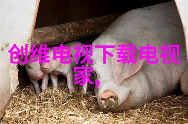 检测水质的正确方法个人如何安全饮用清洁水