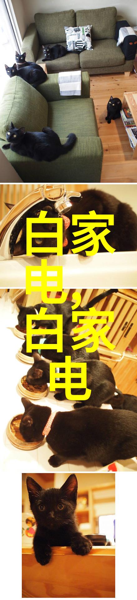 不锈钢304价格行情分析了解市场动态与成本预估