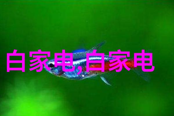 环保家居实践采用全屋静电脱氮技术改善生活质量