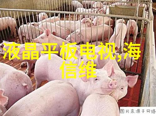 高温瞬时灭菌设备我来告诉你这款超级神器是如何让你的厨房变得无敌的