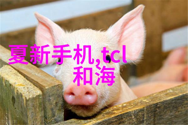商帝厨卫全屋清洁服务家居生活的舒适助手