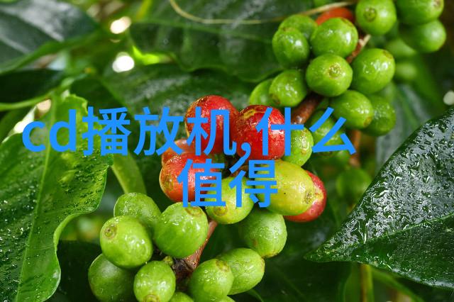 家用生活-智能脱水机家庭健康的新伙伴