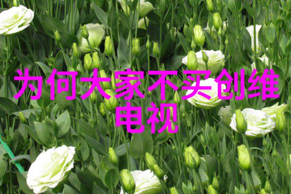 我们应该如何进行粉碎机设备的日常维护