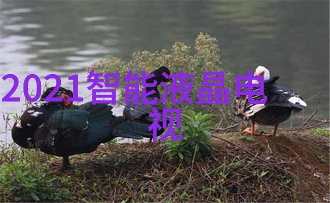 冷风迷城冰晶之梦的织匠们