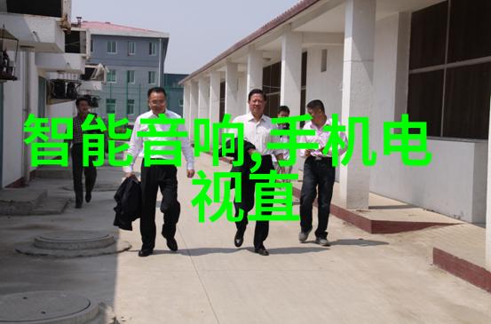 深渊的回声水电站之谜