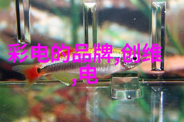 风铃草的花语轻盈绽放的爱意之歌