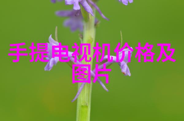 测量天平揭秘水平仪的科学奥秘