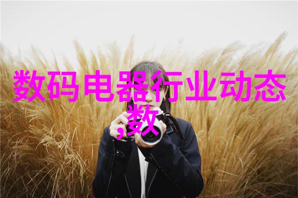 环境保护因素在水利水电工程项目划分中的重要性如何体现