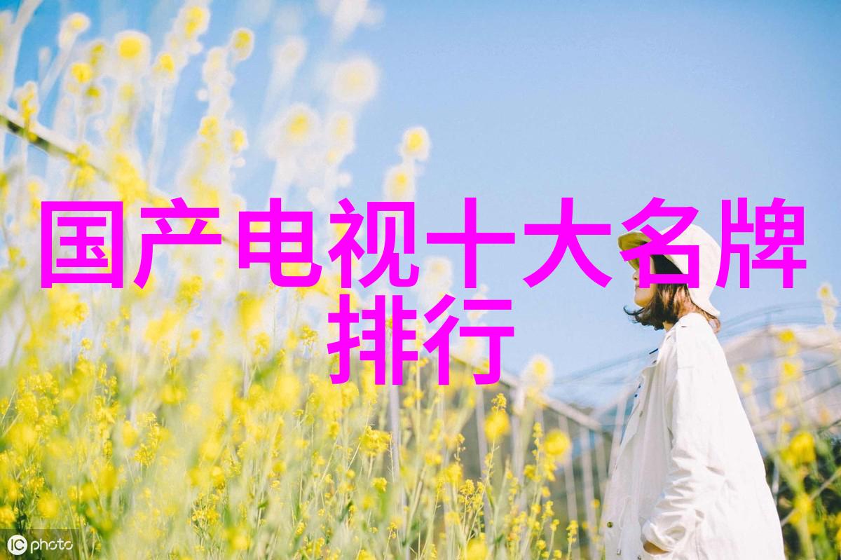 工控机设备我是如何在制造流水线上用它来优化生产效率的