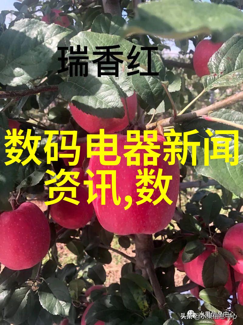 构建梦想泥瓦木工的专业技能