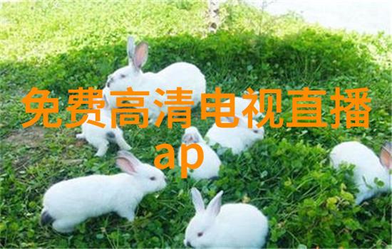 罗瑞戈超跑传奇的诞生与飞跃