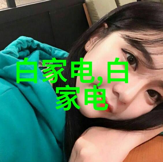 高效分离技术立式沉降式离心机的运作原理与应用前景