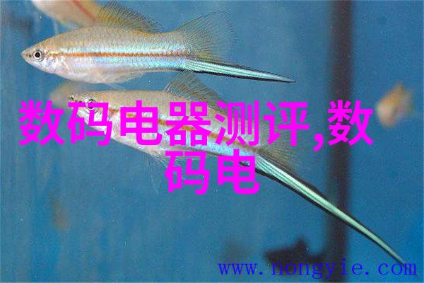 超越边界的创造力缔造者无限能量的探索