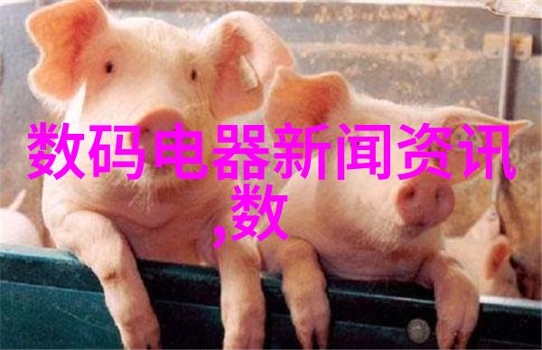 湖南现代物流职业技术学院之谜背后的秘密与未来的选择