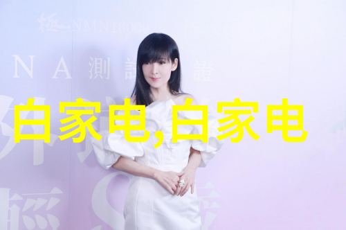 个人信用报告-揭秘你的信誉力量如何解读和提升个人信用报告
