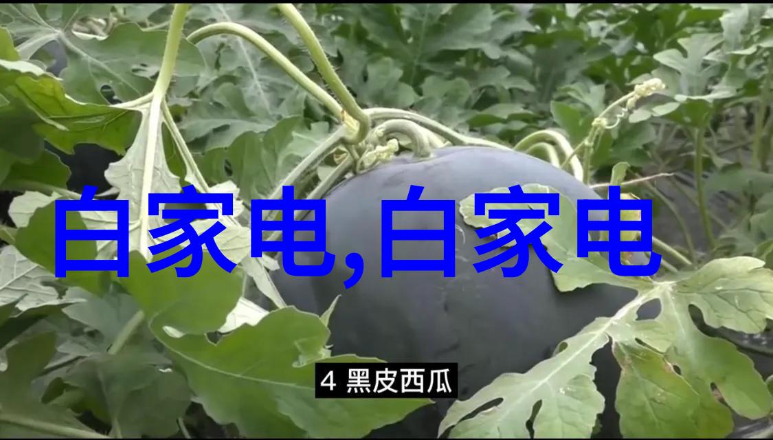 燃气蒸汽之舞激荡的能量旋律