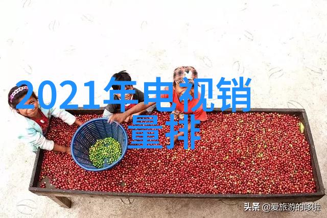从简单到复杂了解不同类型的水质检测笔