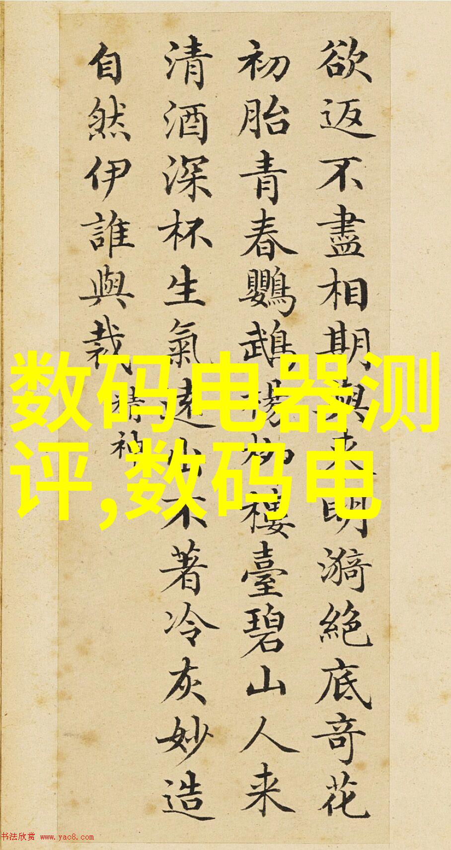 中国中免股份股市表现解读