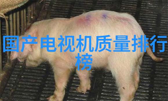 从零到英雄一步步学习如何进行简单的tds测试和分析方法